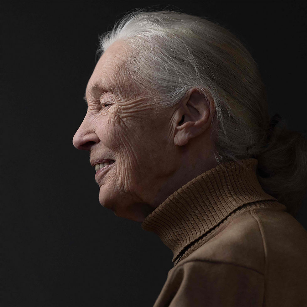 In Memoriam: Jane Goodall 1934-2025 (#405)