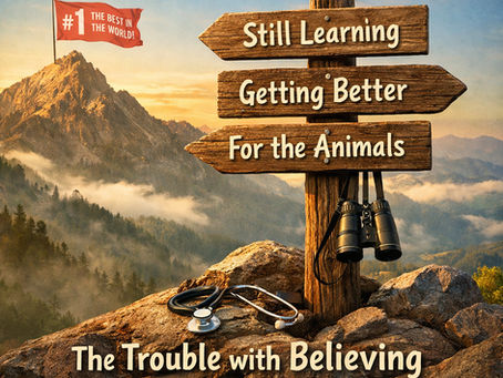 The Best in the World: The trouble with believing your own headlines (#524)