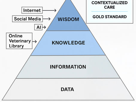 From Data to Wisdom: A veterinarian’s guide to smarter decisions (#391)