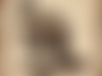 Early Depictions of Australia's Wildlife: A lesson in misunderstanding (#96)