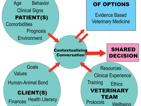 Contextualized Veterinary Care: Matching medicine to context (#389)