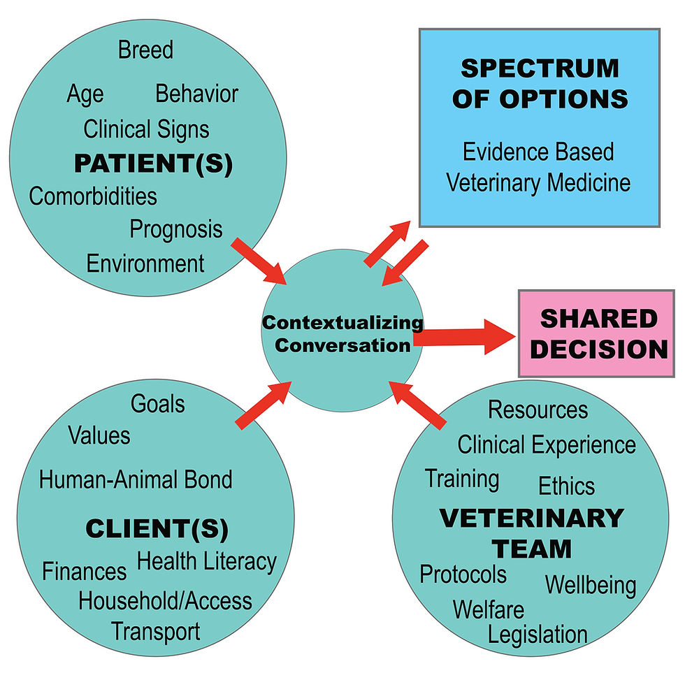 Conceptual diagram of the complex iterative processes involved in practicing contextualized care, acknowledging the involvement of evidence-based veterinary medicine, to produce a spectrum of options refined through a contextualizing conversation by incorporating relevant considerations regarding the veterinary team, patient, and client, leading to a shared decision between client and veterinary professional. (Adapted from Coe et al.)