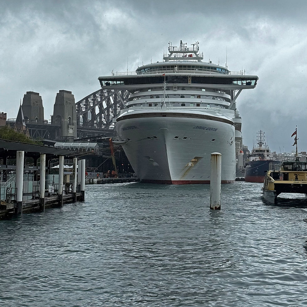 A Floating Intrusion: When a ship becomes an eyesore (#401)