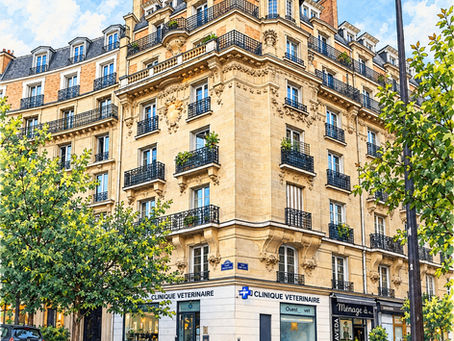 Paris: The Clinic on the Corner (#703)