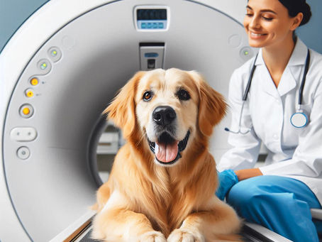 Seeing Isn’t Believing: The pitfalls of “imaging-only” glioma diagnoses in research studies (#85)