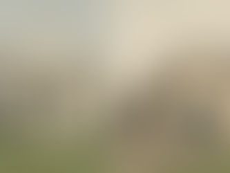 Who Owns Your Vet (10)? Lessons from the People’s House (#433)