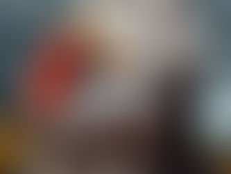 Art of the Catch: Puffins and their unique fishing adaptations (#60)