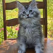 Agnes-10wks.HEIC