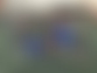 2025.11.15 3×3交流戦 最適が最高