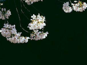 How Nationwide Legal Funding Can Help You Today