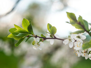 How to Choose the Right Pre-Settlement Legal Funding Company