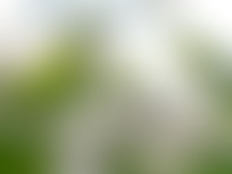 How to Choose the Right Pre-Settlement Legal Funding Company