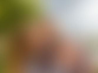 Rituales de San Alejo para el Fin de Año: Protección y Renovación Espiritual