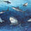 Thumbnail: "Feeding time"