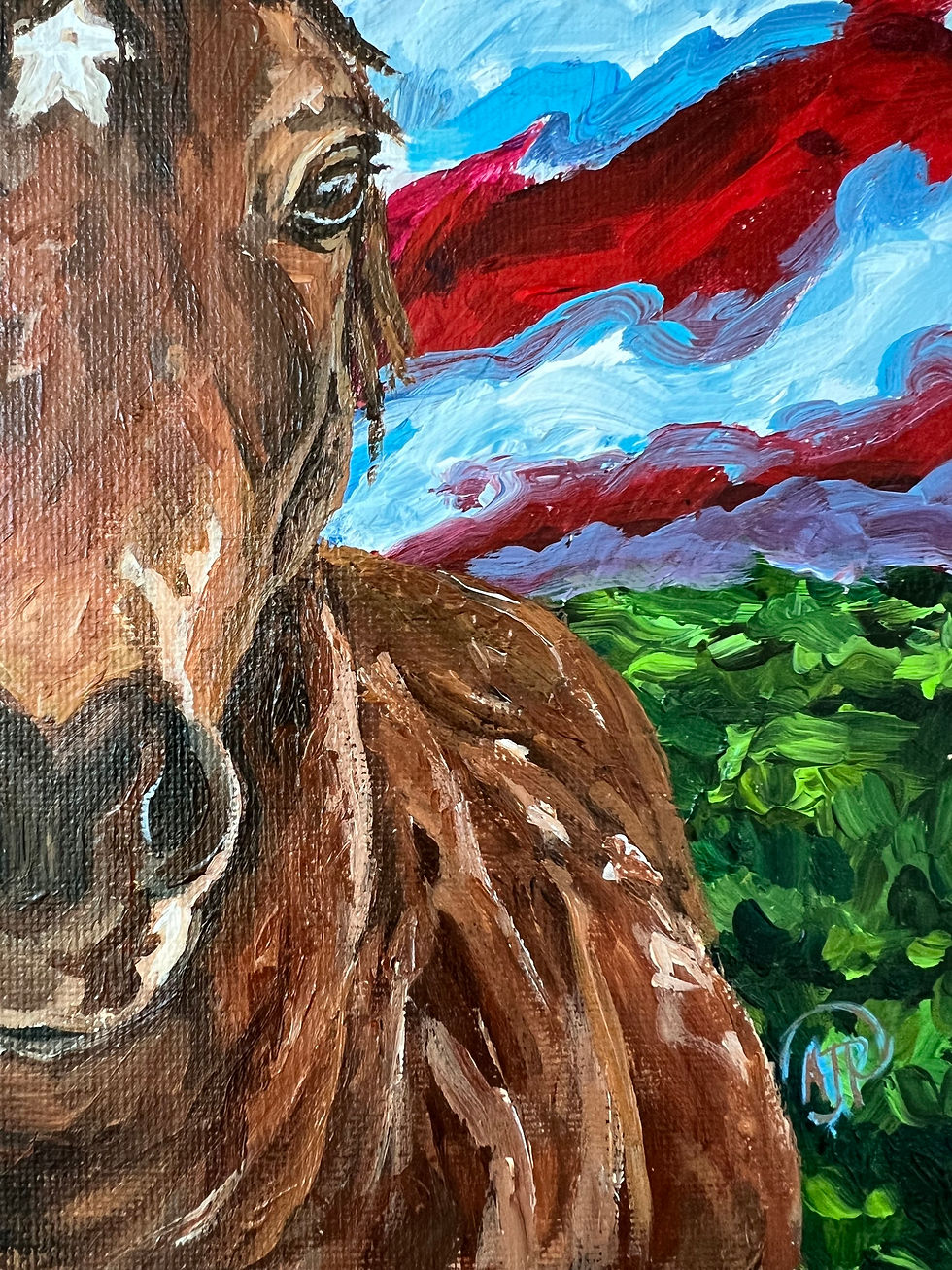 Thumbnail: Horse and American flag sky acrylic painting 