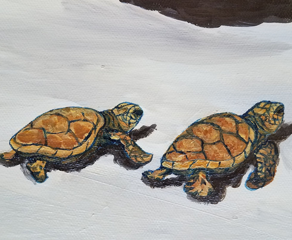 Thumbnail: Momma sea turtle and babies acrylic painting by Amber Ruehe