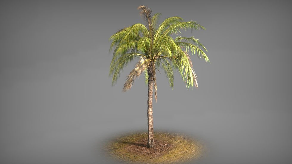 GUITAR HERO LIVE ASSET