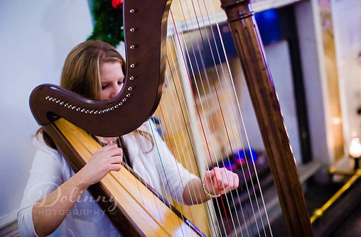 Miriam Long playing the harp at a Civil Ceremony in Kilkenny in a beautiful hotel.