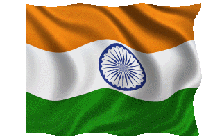 flag gif.gif