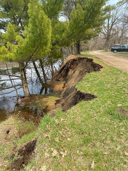 2Basswood_streambank_spring_2022.jpg