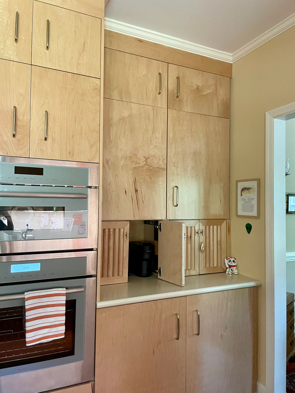 660 Cain Storage Cabinetry