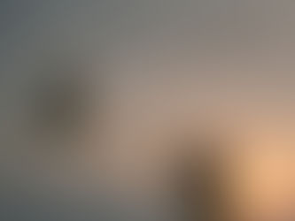 Grief, Nature, and Sound: Emilie Levienaise-Farrouch’s H Is For Hawk