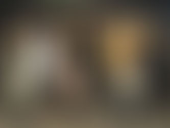 Last night's screening of "Shots Fired" in Washington, D.C.