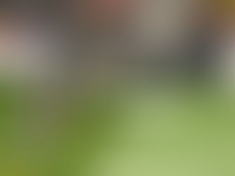 Carolina Energy Takes Winning Leap Over Carolina Aviators