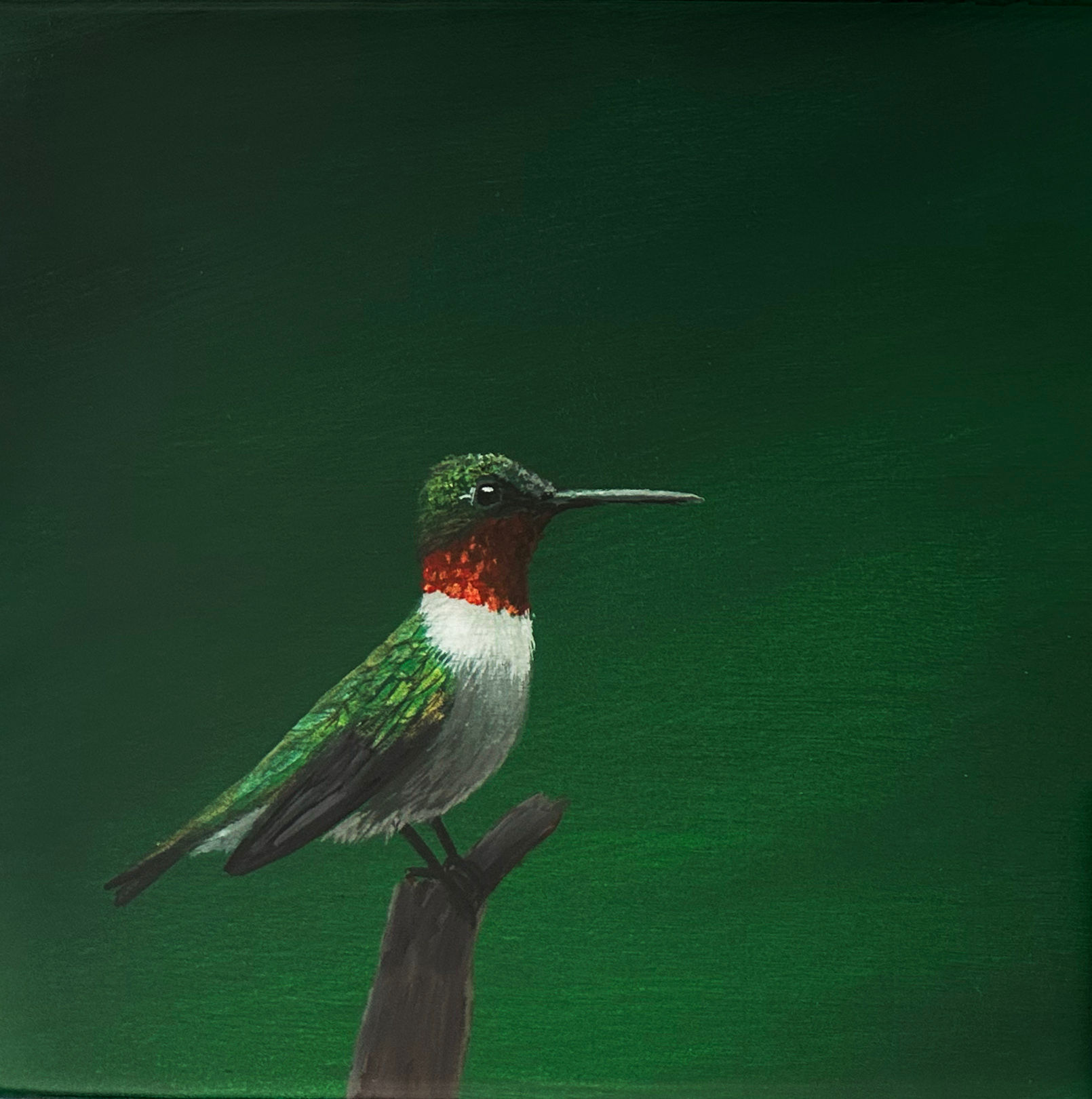 Ruby Throated Hummingbird
