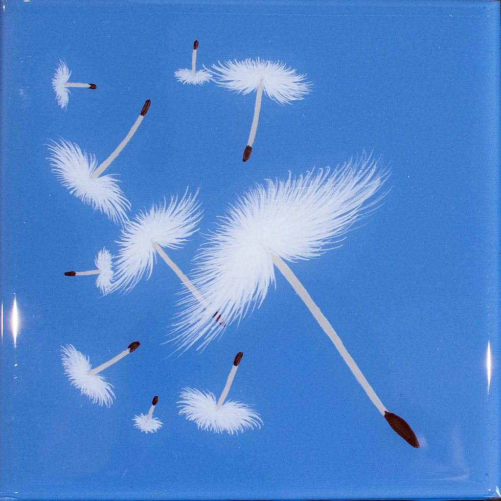 SkyWishes