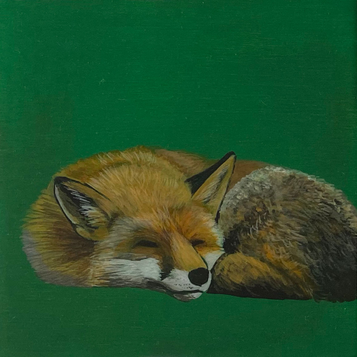 Sleeping Fox