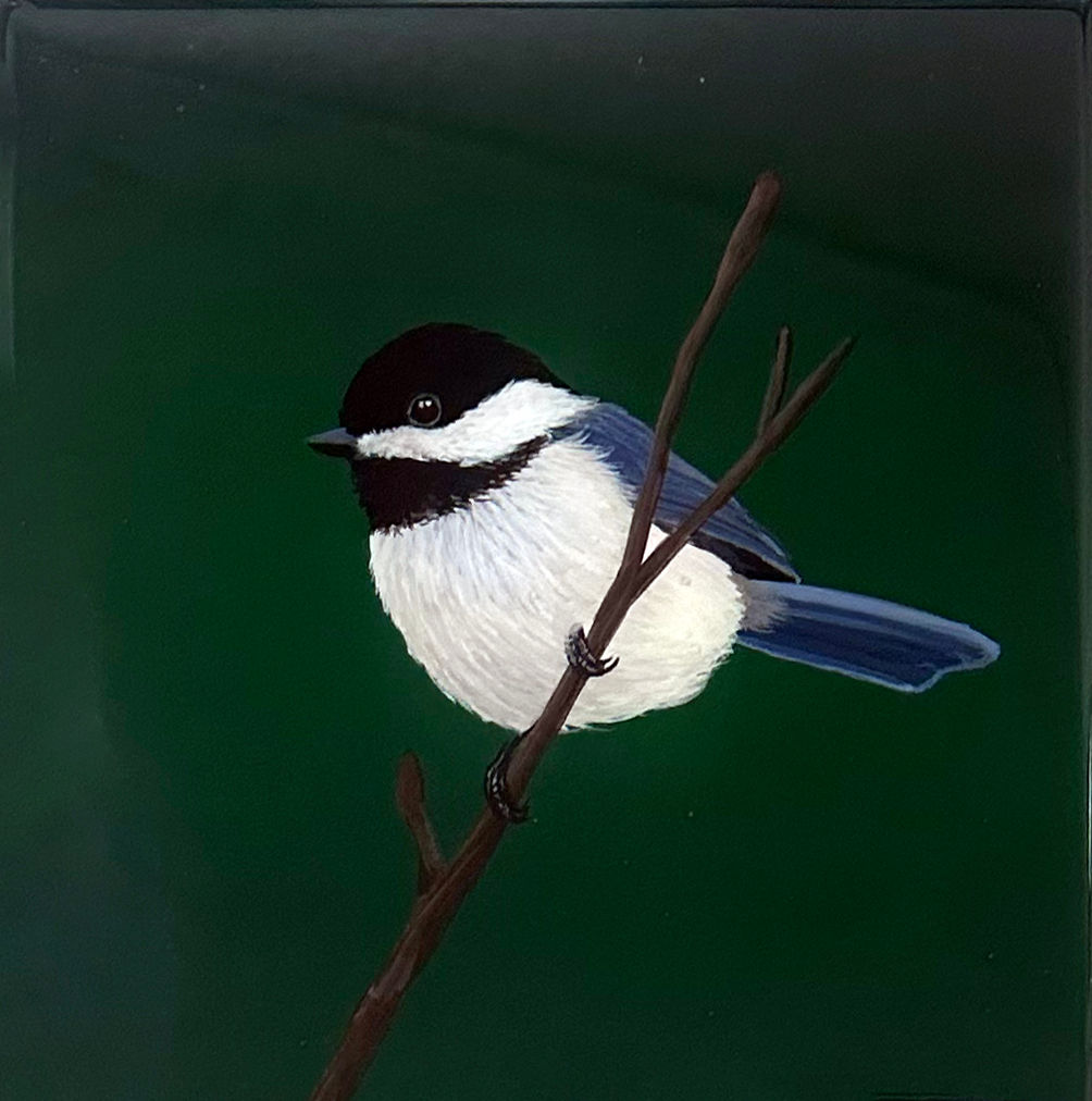 Chickadee on Dark Forest