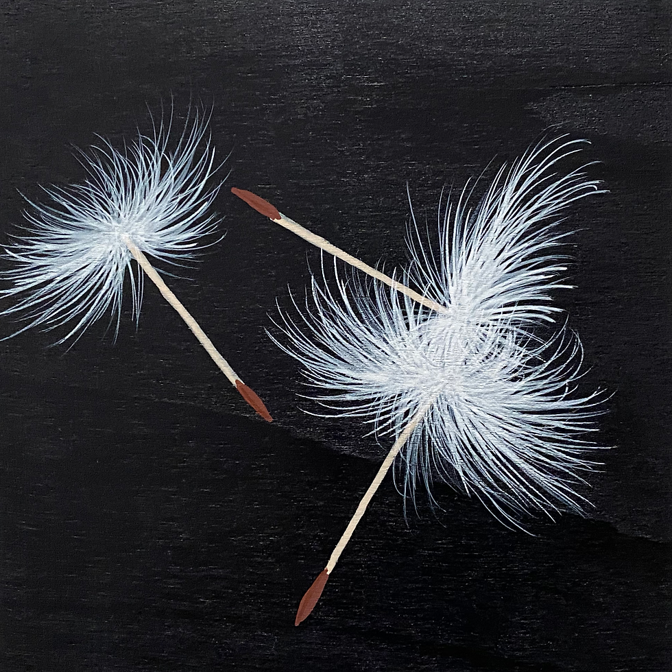 Trio of Wishes On black