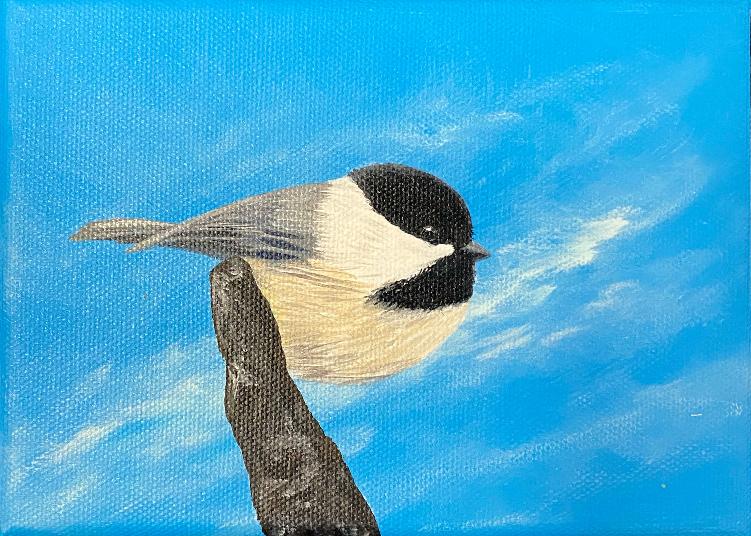 Chickadee - 1