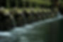 bali-tampaksiring-holy-water-temple-bali-holy-spring-1451765 (1).jpg
