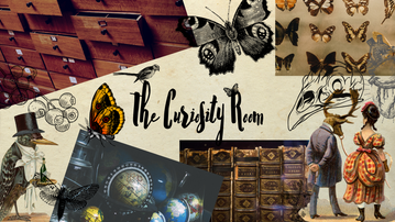 The Curiosity Room Mood Board