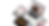 wix banner (1).png