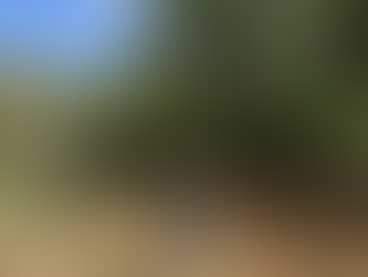 Lan man đầu thu ...