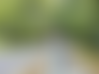 Ông bà nông dân mang thơ đi bán