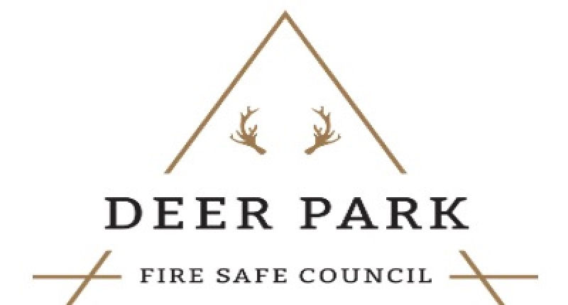 Deer Park Fiesafe Logo copy.jpeg
