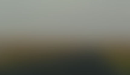 El periodista com a intèrpret de la realitat