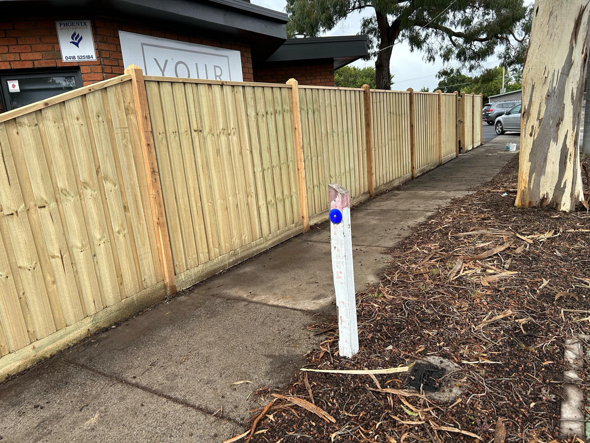 Standard timber paling fence with exposed post and capping