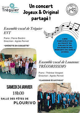 affiche Plourivo.jpeg