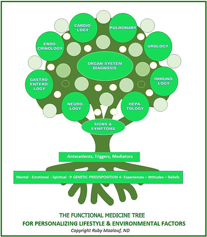 IFM Tree_edited.jpg