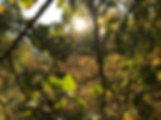 AABF7A45-E117-4180-BD55-CD603B75F4E4.jpe