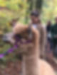 LAMA1.jpeg