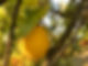 D89DE9CA-230C-4988-BCA3-D232109803E3.jpe
