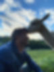LAMA6.jpg