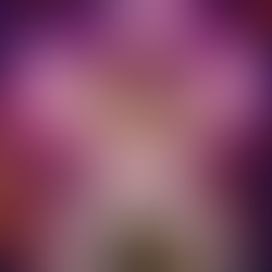 Panto returns to the Palladium