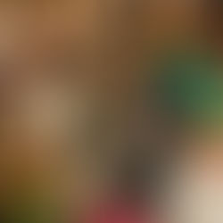 Festive fun at the LFG Christmas Lunch